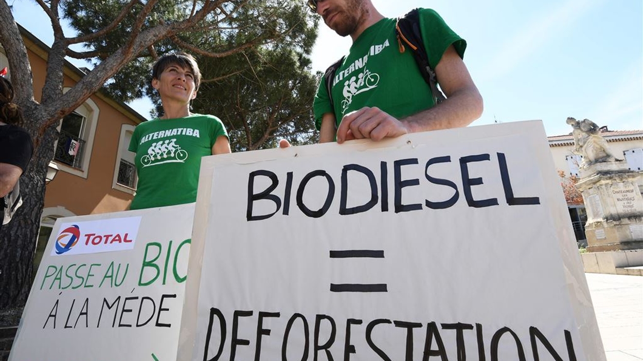 ANP - biodiesel - ontbossing