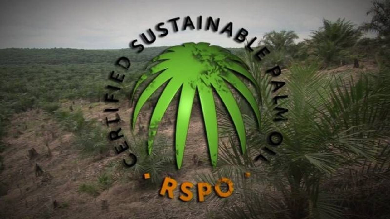 palmolieleverancier-stapt-eenzijdig-uit-overleg