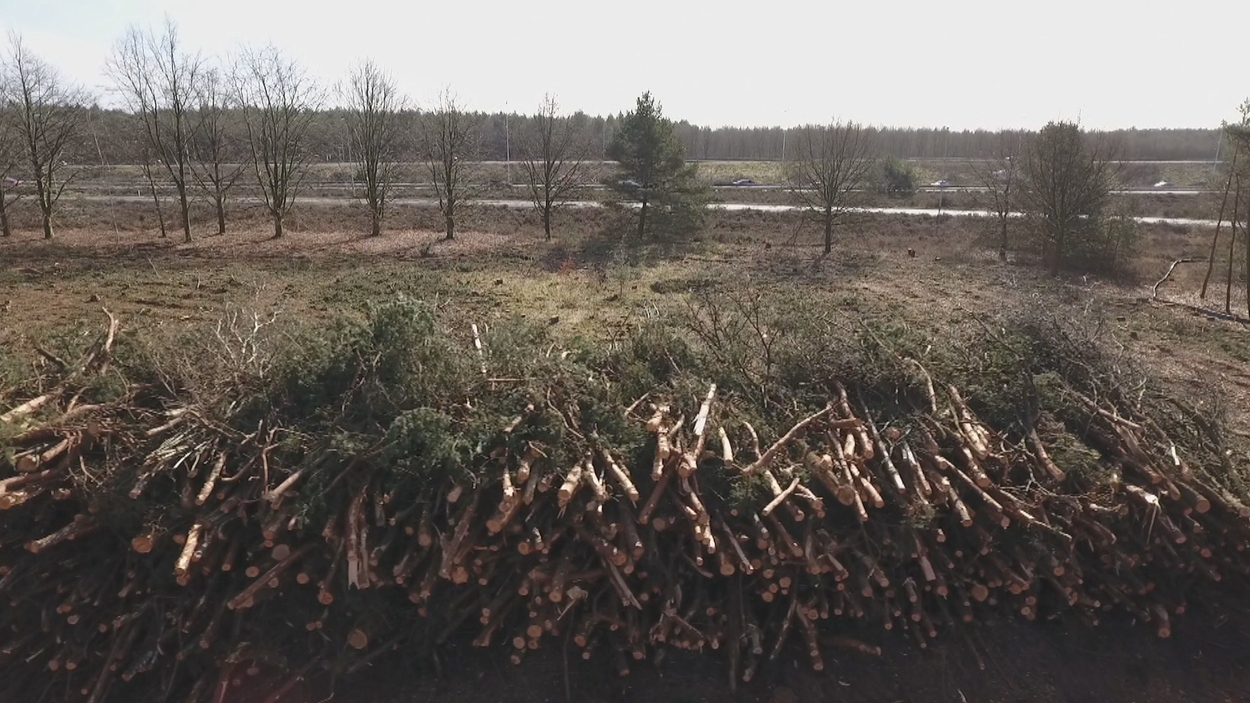 bos als brandstof biomassa