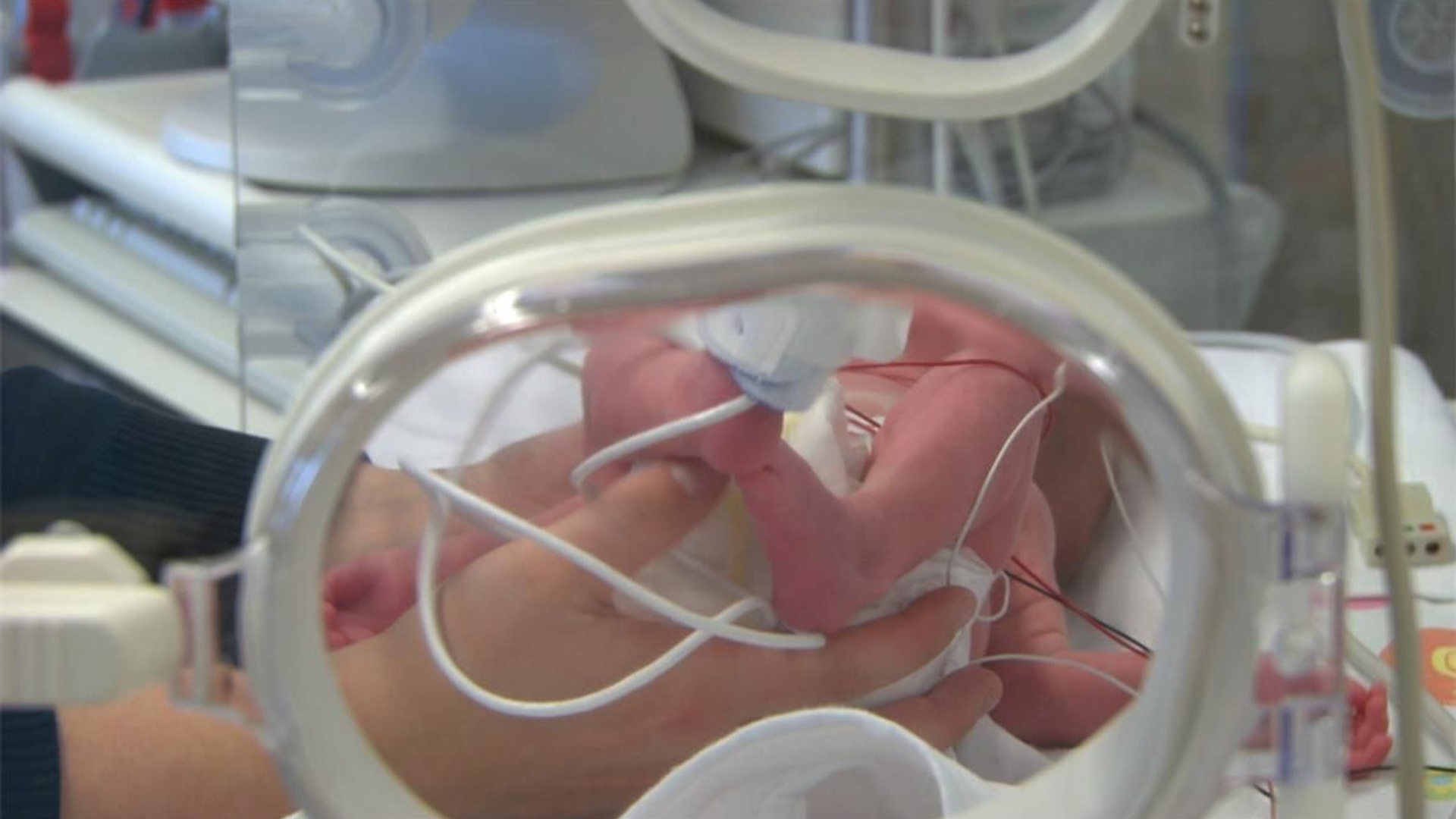 betere-testprocedure-nodig-prenatale-blootstelling-aan-stoffen