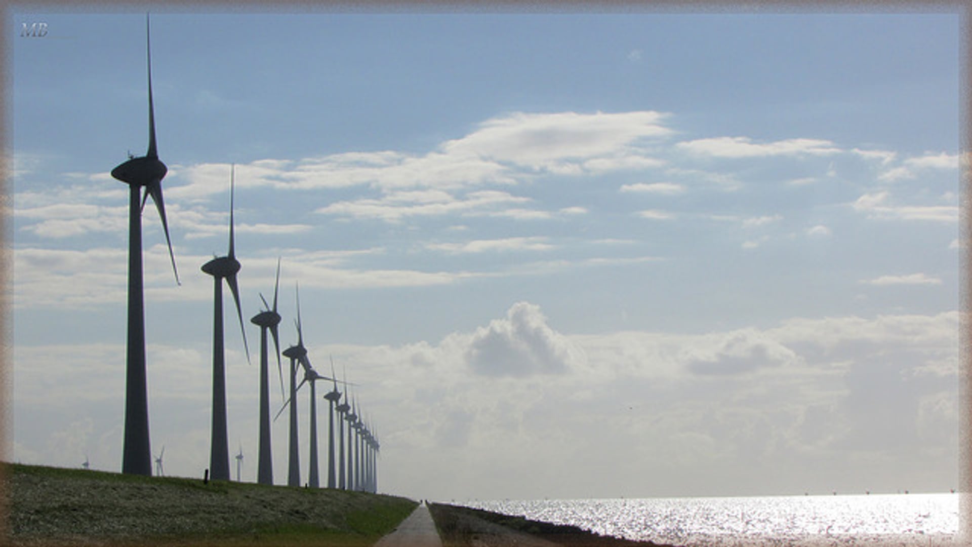 Nederland moet door de pijn heen voor groene economie - Zembla - BNNVARA