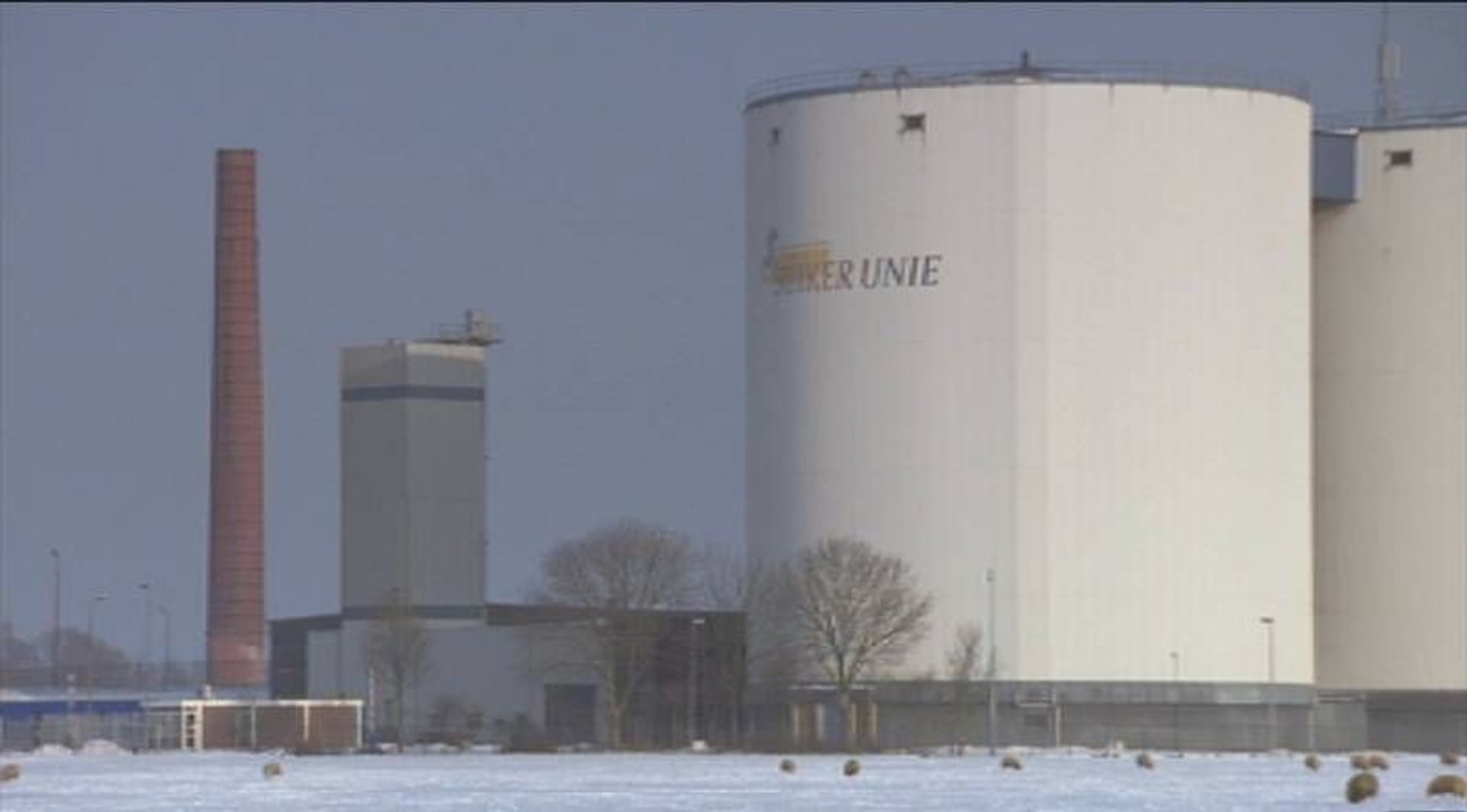 Suikerhoudende dranken maken kinderen echt dik - Zembla - BNNVARA