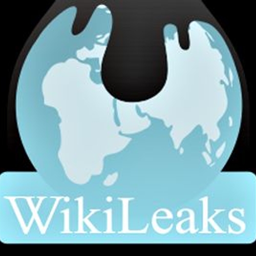 Wikileaks en het nieuwe activisme