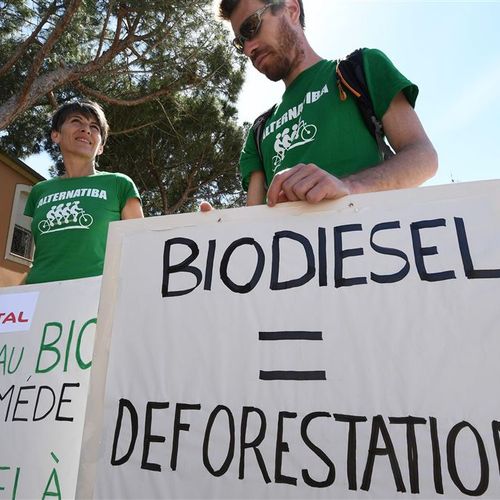Afbeelding van Europese wetenschappers waarschuwen: miljardensubsidies biomassa weggegooid geld